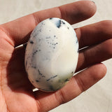 Dendritic Agate Palm Stone 02