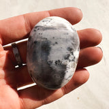 Dendritic Agate Palm Stone 05