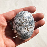 Dendritic Agate Palm Stone 09